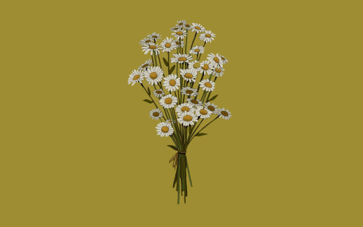 1611462 (a): :1920x1200